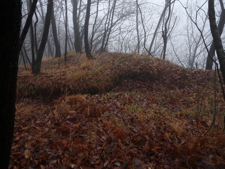 Čolnišče Prehistoric Trap