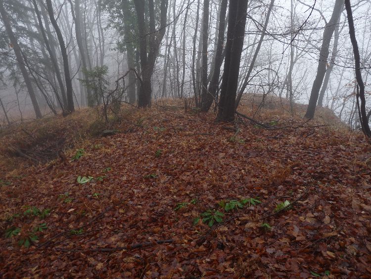 Click for full size image of Čolnišče Prehistoric Trap (PID:45294) Čolnišče Prehistoric Trap