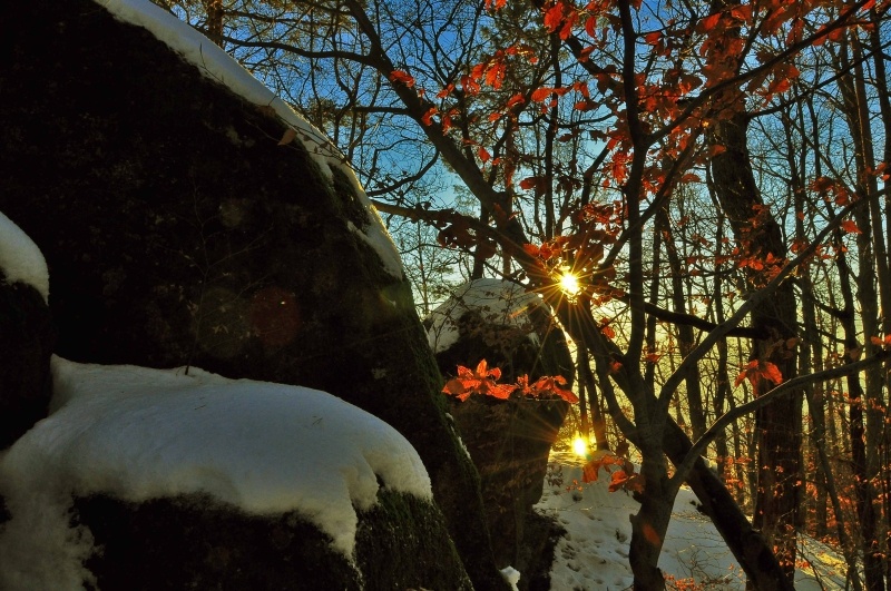 The Devil Stones (Maribor)