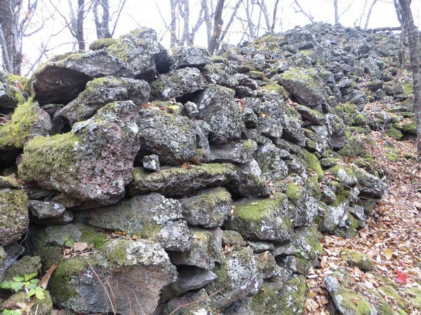 Aurovskoye Settlement (PID:168819) Aurovskoye Settlement