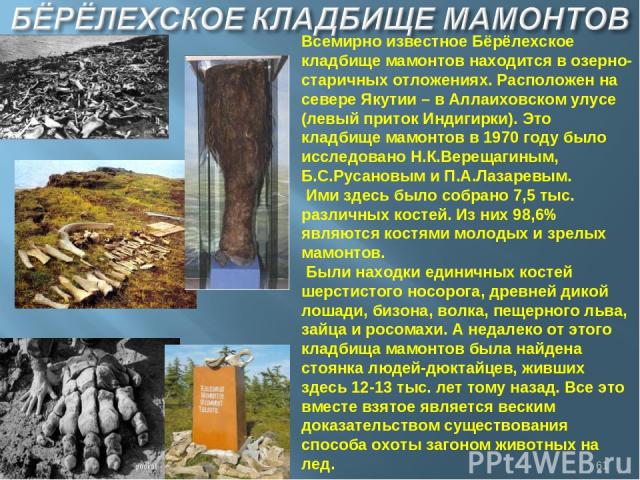 Click for full size image of Berelekh (PID:177624) Berelekh