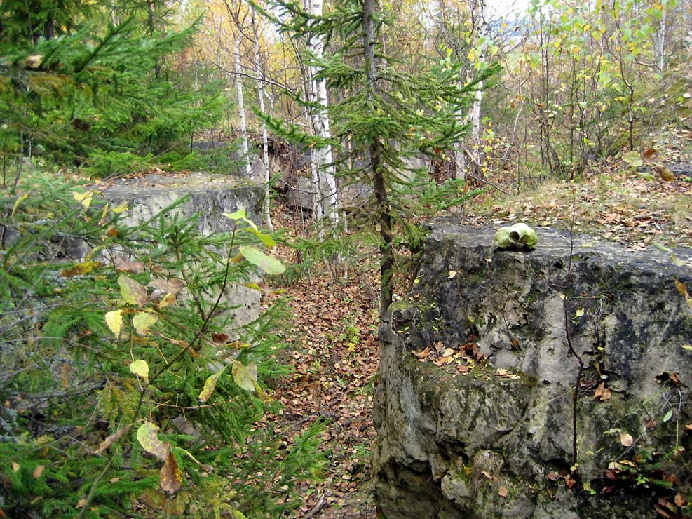 Ancient Site in Russia

© Megalithica.ru