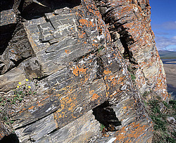 Petroglyphs of Pegtymel River