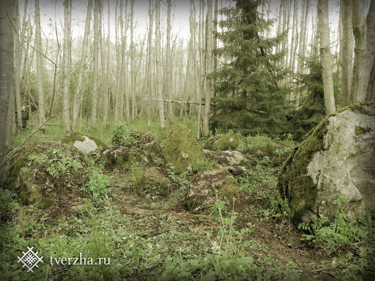Click for full size image of Rudа́evskoe stone nest (PID:141359) Rudа́evskoe stone nest