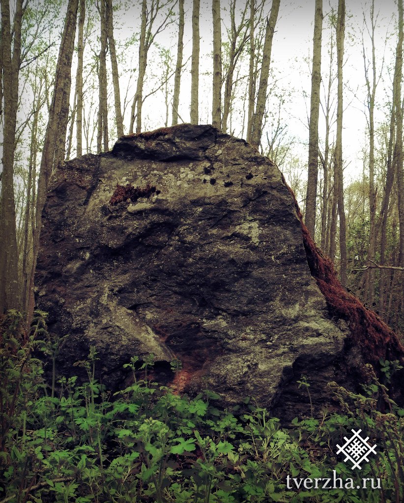 Click for full size image of Rudа́evskoe stone nest (PID:141358) Rudа́evskoe stone nest