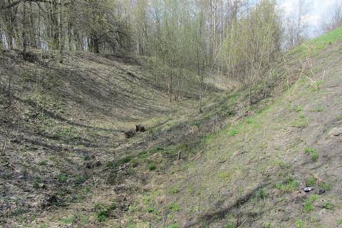 Click for full size image of Bowl Barrow - Pre-Dbryansk (PID:143728) Bowl Barrow - Pre-Dbryansk