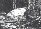 Click for full size image of Tiunovskoe sanctuary (PID:142178) Tiunovskoe sanctuary
