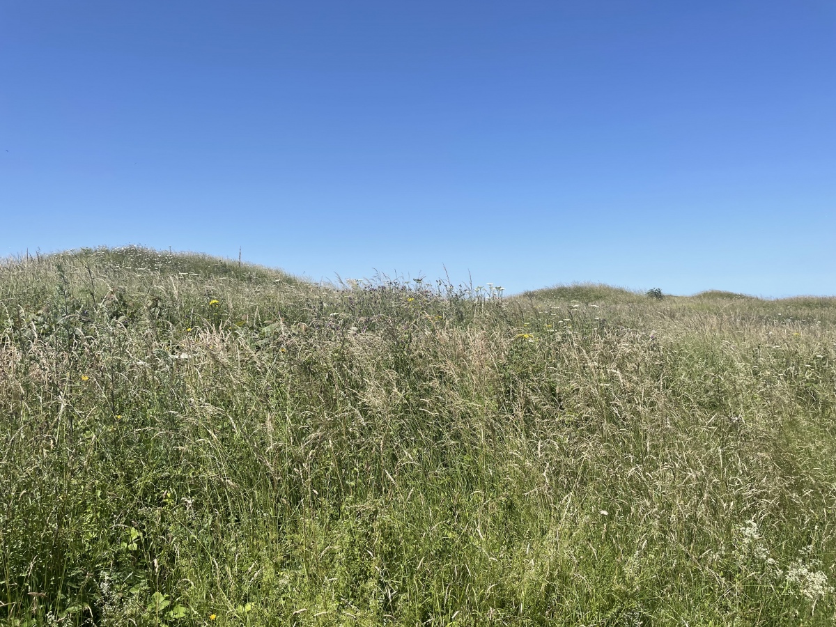 Click for full size image of Five Knolls (PID:229182) Five Knolls