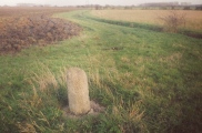The Devil's stone (Bedfordshire) - PID:37719