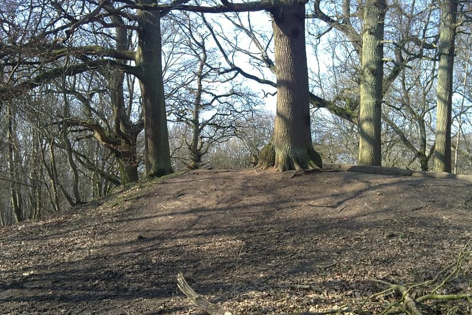 Click for full size image of Moneybury Hill Bell Barrow (PID:248188) Moneybury Hill Bell Barrow