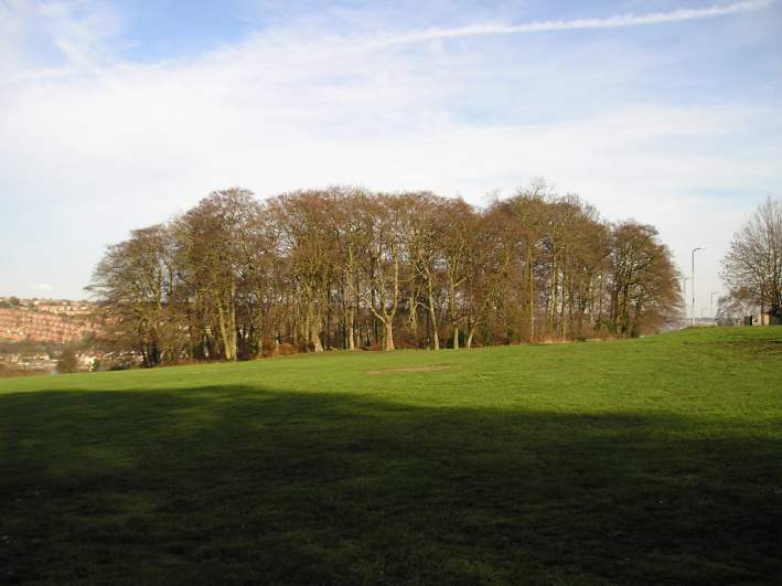 Desborough Castle