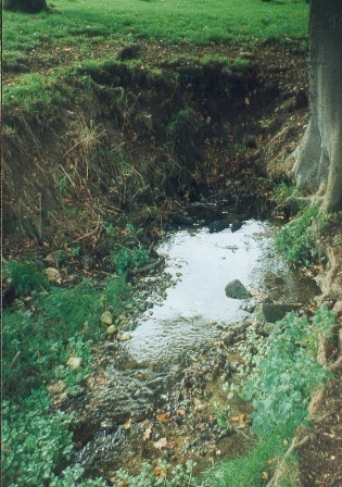 Princess Elizabeth's Well