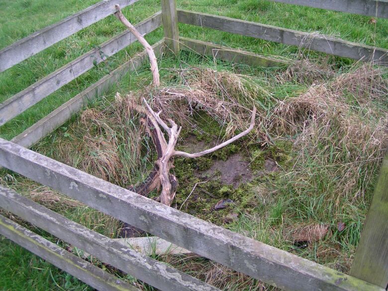Click for full size image of Holy Well (Ravenstone) (PID:11047) Holy Well (Ravenstone)