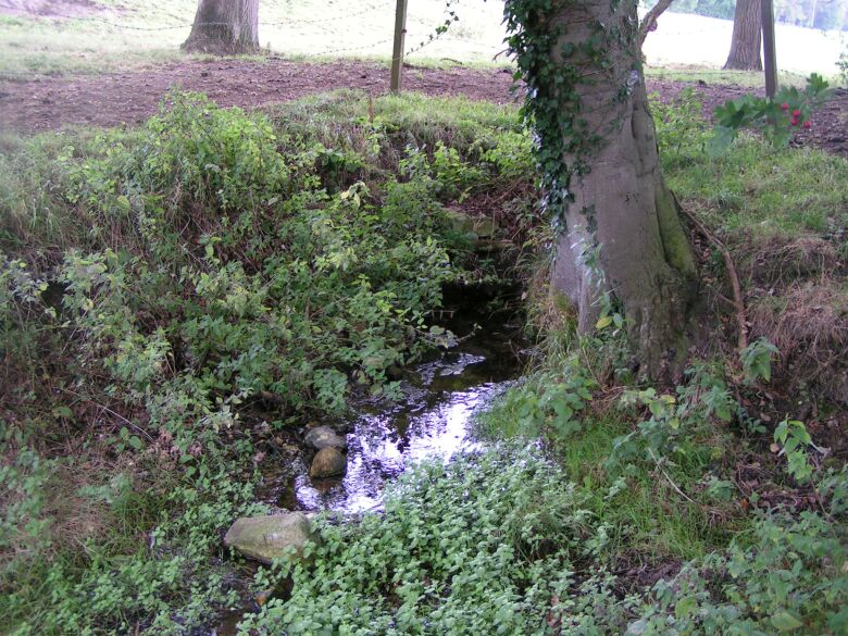 Click for full size image of Princess Elizabeth's Well (PID:9266) Princess Elizabeth's Well