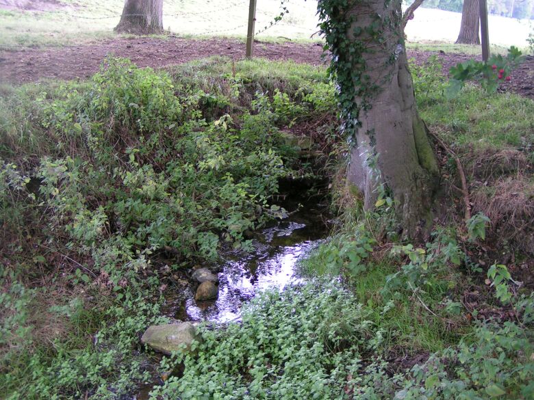 Princess Elizabeth's Well