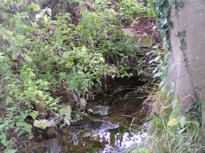 Click for full size image of Princess Elizabeth's Well (PID:9265) Princess Elizabeth's Well