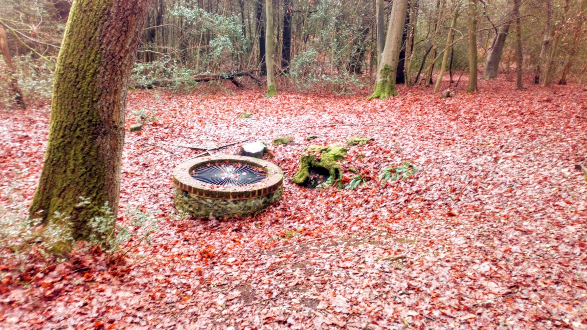 St. Frideswide's Well