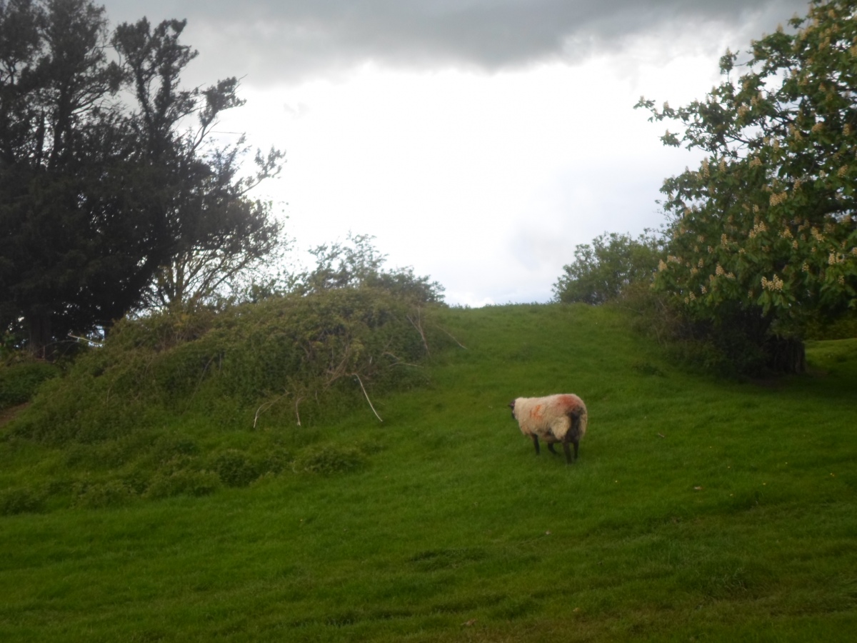 Whaddon Barrow