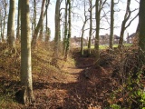 Desborough Castle