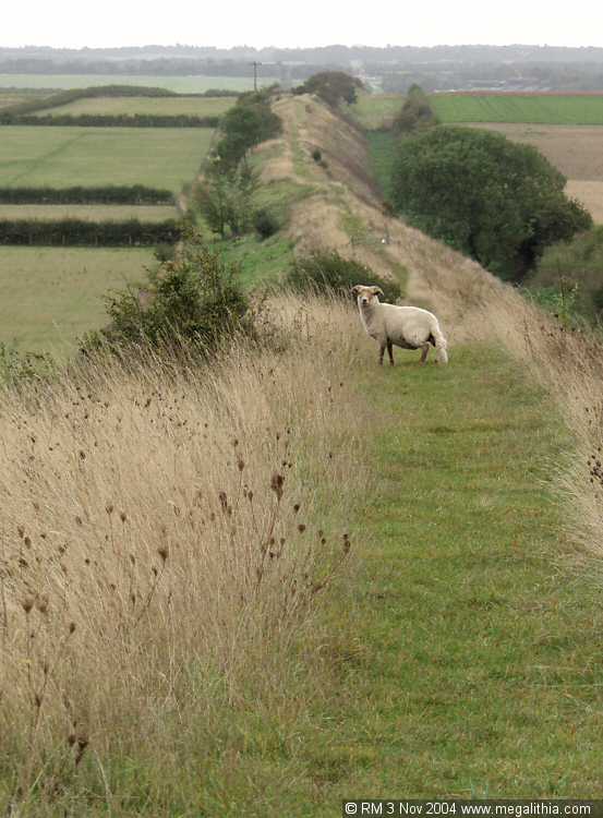 Devil's Dyke, Cambridgeshire