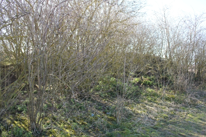 Melbourn Long Barrow