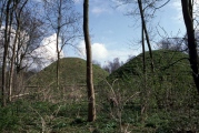 Click for full size image of Bartlow Hills (PID:15893) Bartlow Hills