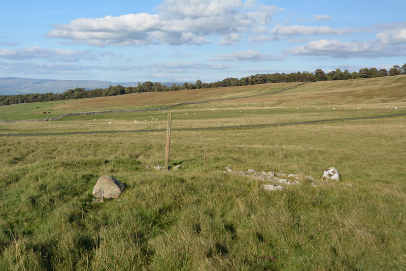 Click for full size image of Gaythorne Plain Round Cairns (PID:158053) Gaythorne Plain Round Cairns