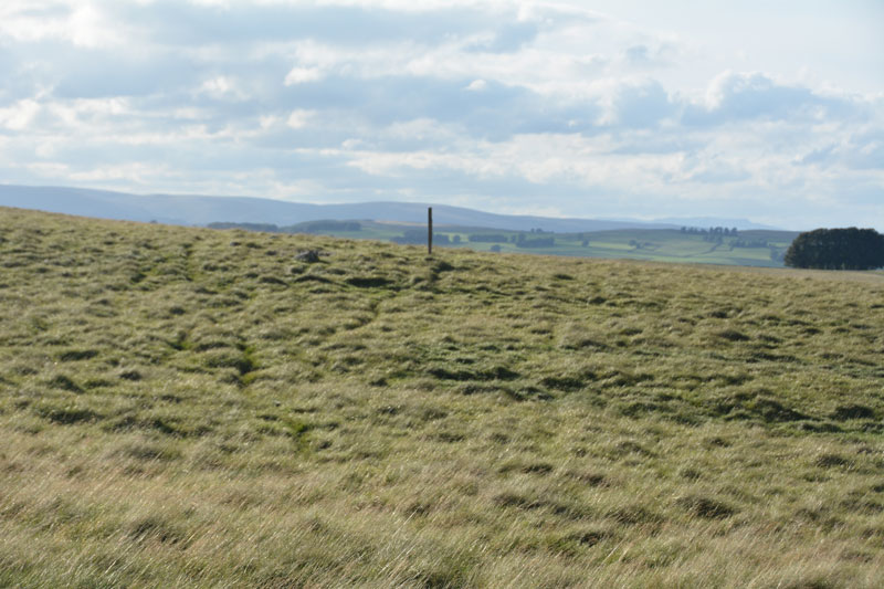 Click for full size image of Gaythorne Plain Round Cairns (PID:158055) Gaythorne Plain Round Cairns