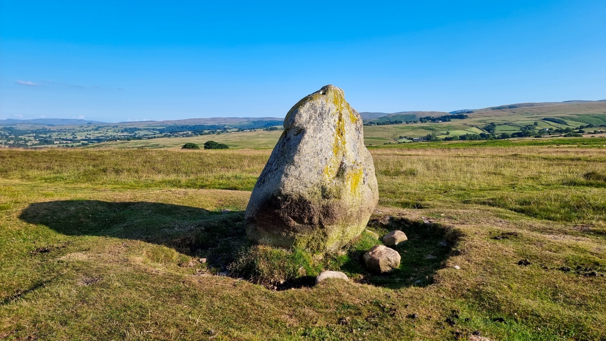 Click for full size image of Cop Stone (PID:259701) Cop Stone
