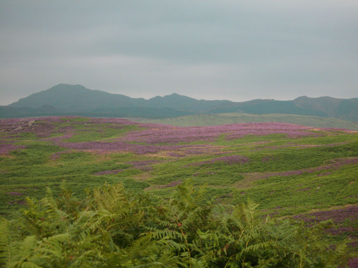 Blawith Fells and Tarn Riggs (near Beacon Tarn)