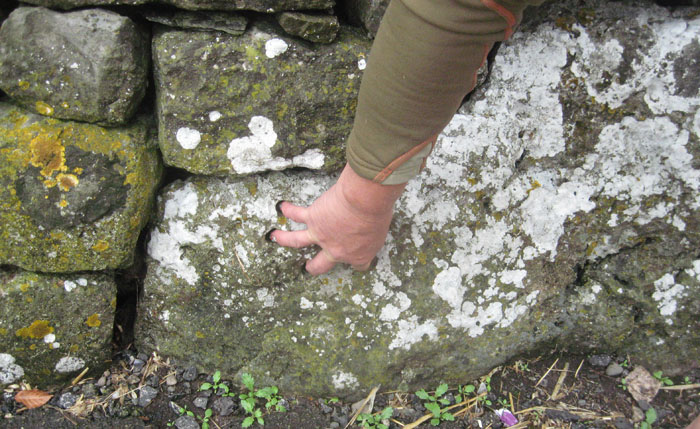 Click for full size image of The Priapus Stone (PID:121804) The Priapus Stone
