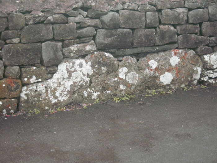Click for full size image of The Priapus Stone (PID:121805) The Priapus Stone