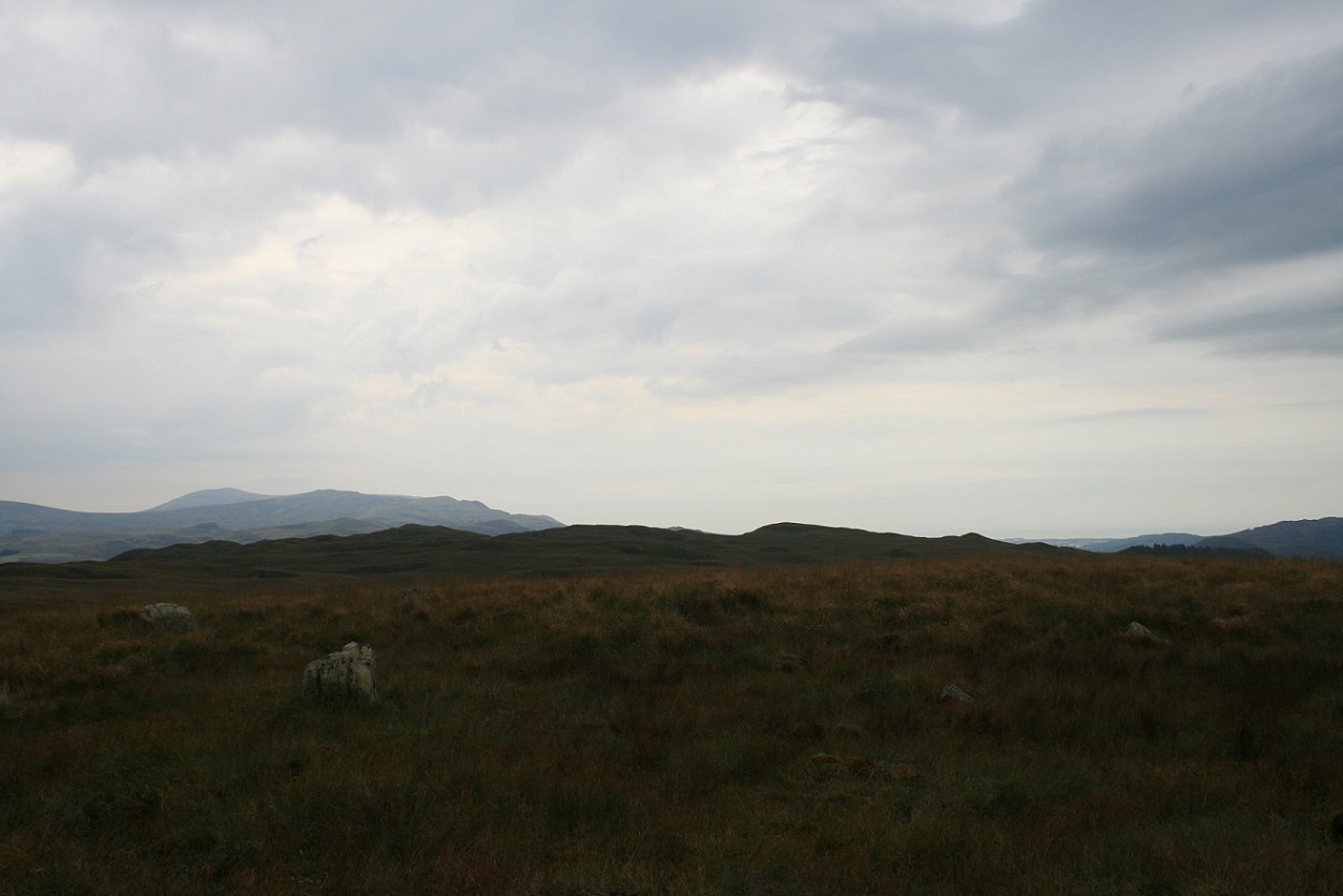 Click for full size image of Low Longrigg NE (PID:171593) Low Longrigg NE