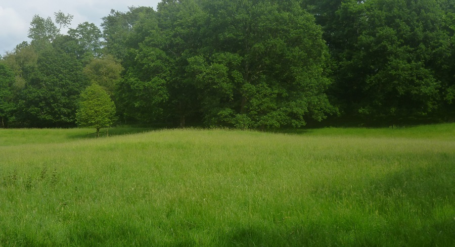 Levens Park ring cairn 2