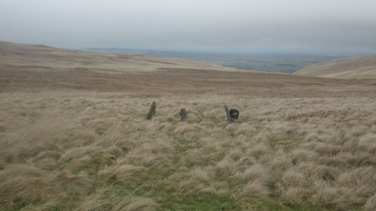 Click for full size image of Swarth Fell (PID:254713) Swarth Fell
