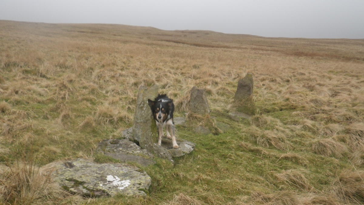 Click for full size image of Swarth Fell (PID:254714) Swarth Fell