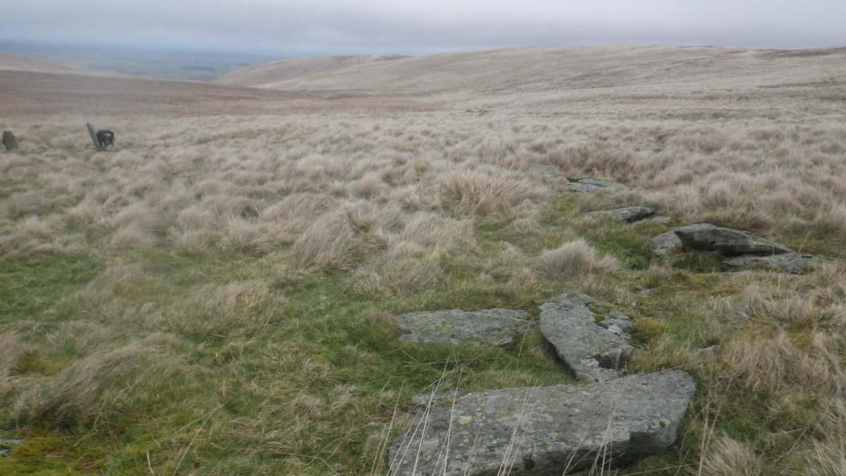 Click for full size image of Swarth Fell (PID:254712) Swarth Fell