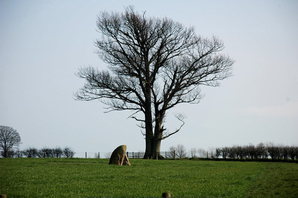 Clifton Stones