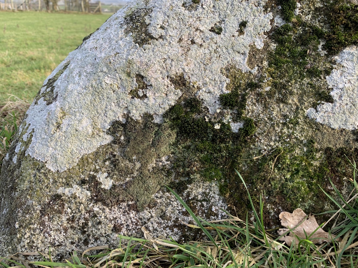 Feint cup and ring marks on stone 28 as described in 'The Stone Circles of Cumbria' (John Waterhouse, 1985) 21/02/2021