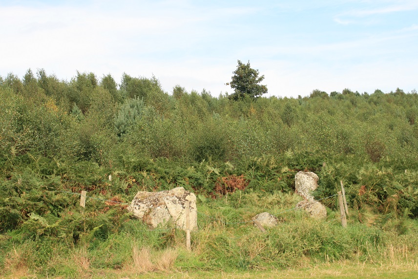 Click for full size image of Leacet Hill (PID:109942) Leacet Hill