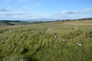 Click for full size image of Gaythorne Plain Round Cairns (PID:158052) Gaythorne Plain Round Cairns