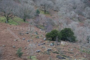 Borrowdale Stone Monument