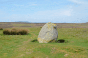 Click for full size image of Cop Stone (PID:241637) Cop Stone