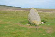 Click for full size image of Cop Stone (PID:241638) Cop Stone