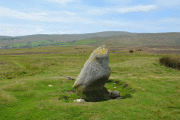 Click for full size image of Cop Stone (PID:241642) Cop Stone