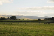 Click for full size image of Gamelands (PID:123416) Gamelands