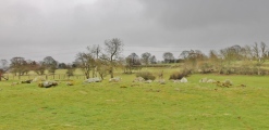 Click for full size image of Glassonby (PID:131186) Glassonby