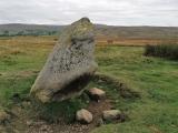 Click for full size image of Cop Stone (PID:251729) Cop Stone