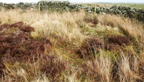 Studfold Stone Circle