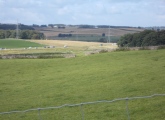 Click for full size image of Gunnerkeld (PID:139985) Gunnerkeld